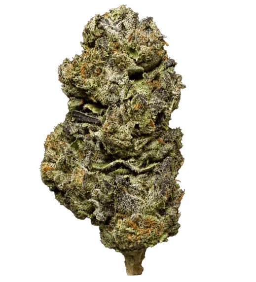 Biscotti Thca Flower